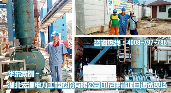 宏源電力印尼廖省項目HDGR450羅茨風機安裝調試現場