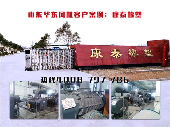 二葉羅茨風(fēng)機(jī) 二葉羅茨風(fēng)機(jī)