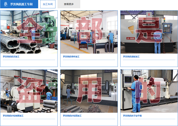 章丘三葉羅茨風(fēng)機(jī)廠(chǎng)家.png