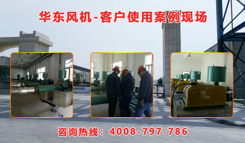 華東內(nèi)蒙古羅茨風(fēng)機(jī)案例-內(nèi)蒙古**生物環(huán)?？萍加邢挢?zé)任公司